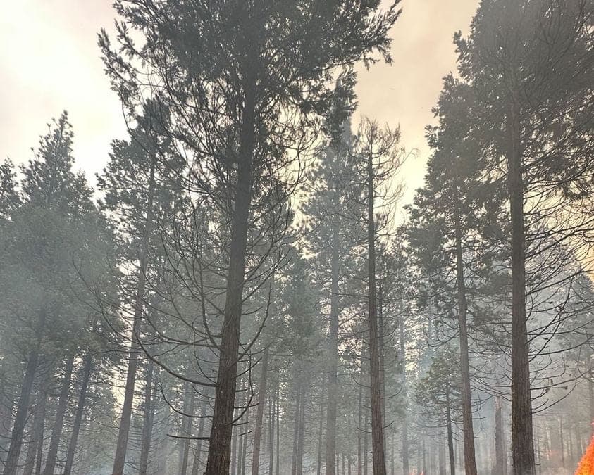 The Alliance Of Forest Service Retired Fire Leaders Sends Letter To USDA And DOI To Advocate For A Unified National Wildfire Service. 