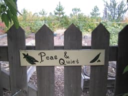 vegetable garden layout