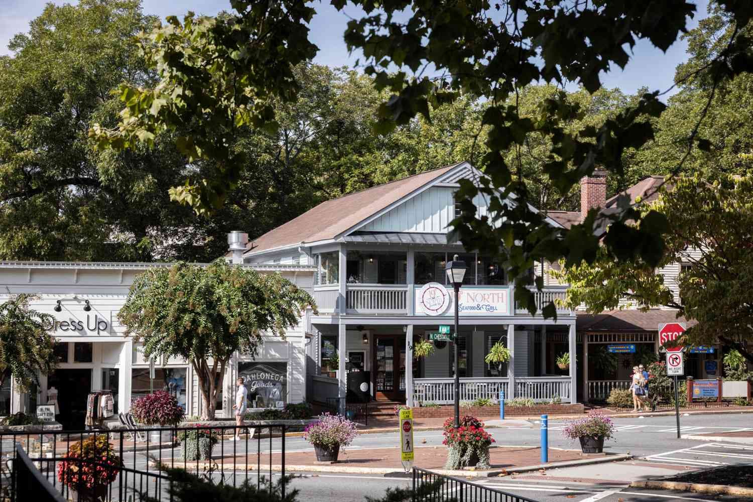 This Georgia Mountain Town Is Home To One Of The South's Most ...