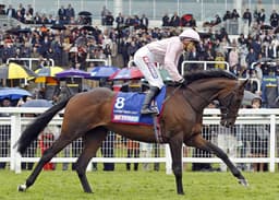 The 'Bullseye' Youngster Who Hit The Biggest Target: Stephen Hillen on Christmas Day