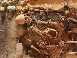 Egypt discovers sealed tombs and 24 gold tongue amulets ...