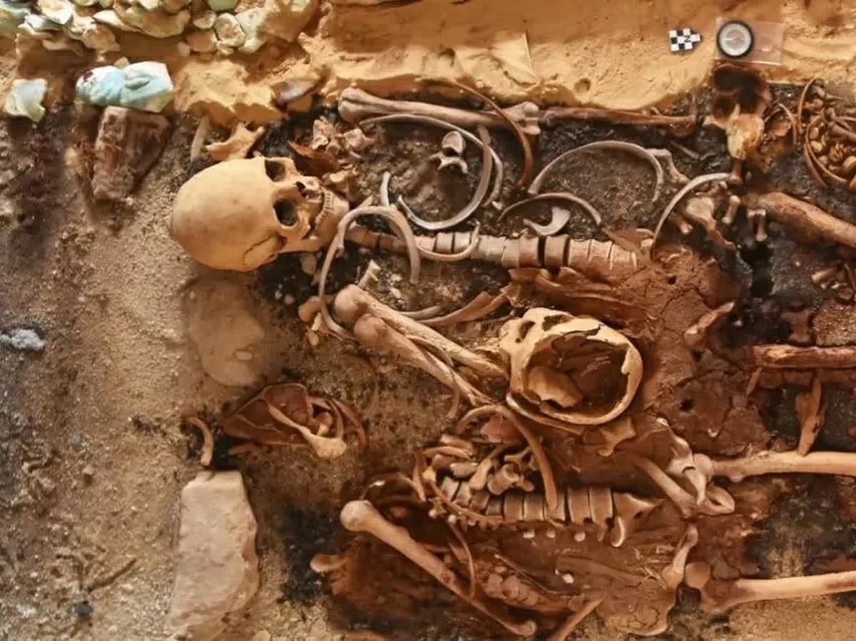 Egypt discovers sealed tombs and 24 gold tongue amulets ...
