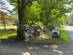 Inside the Prescribed Burn Workshop with Joshua's Trust