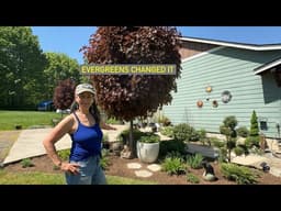 Adding Evergreens Changed Everything 🌿 Garden Refresh for Year-Round Interest