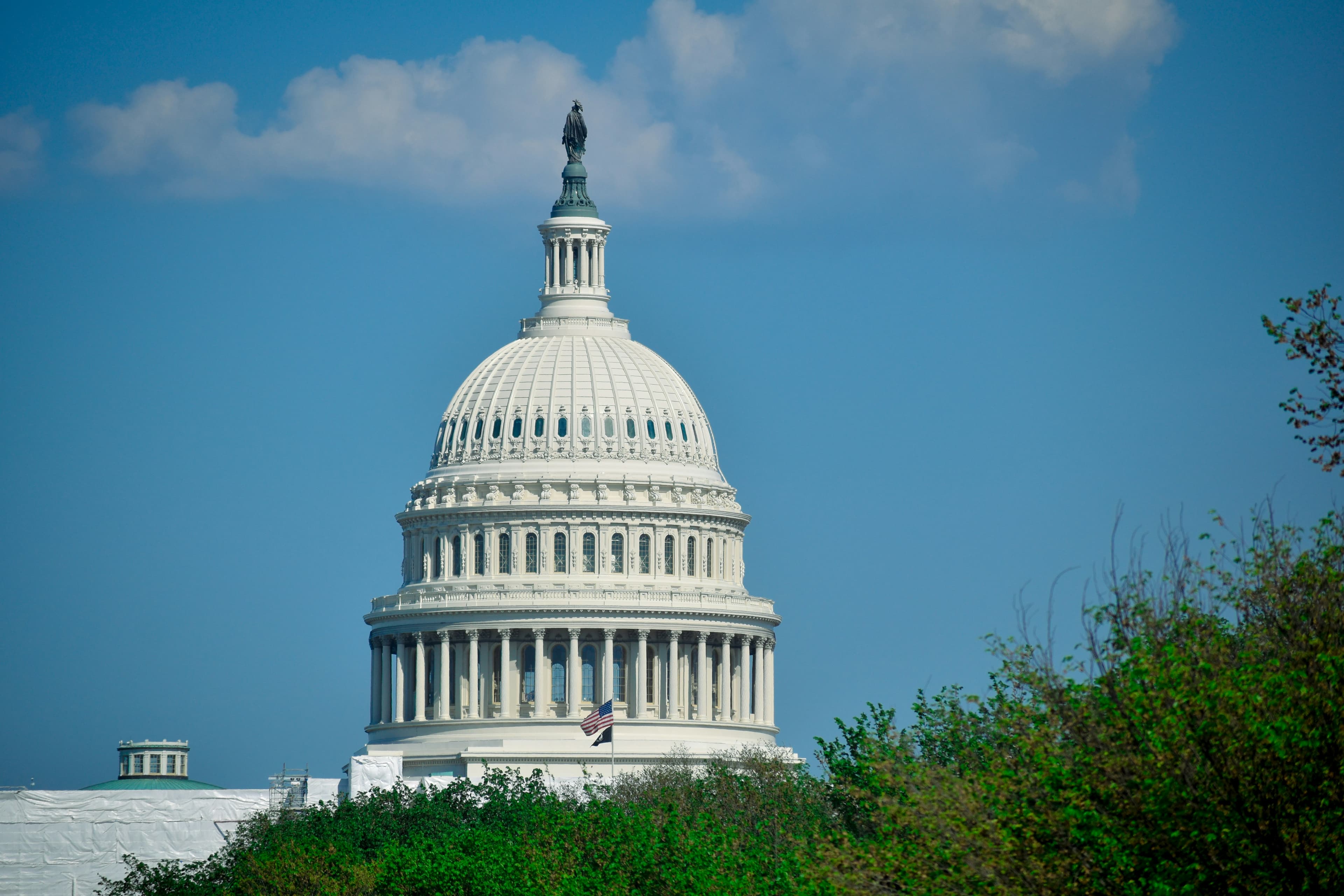 Replacing a lawmaker: It's not political, it's constitutional
