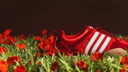 ADIDAS BALLERINA “FLAMBOYAN”: BAD BUNNY BRINGS THE HEAT ...
