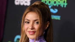 Shakira Says 'Life is a Bitch' After Court Drama, Split