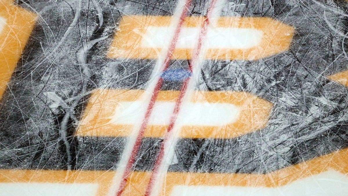 Boston Bruins Development Camp: Forward Standouts