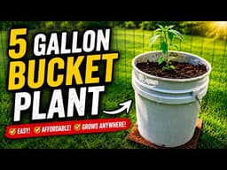 5 Gallon Bucket