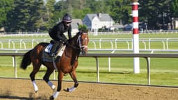 Belmont Stakes 2026 live updates: Time, TV, odds, results and full horse field