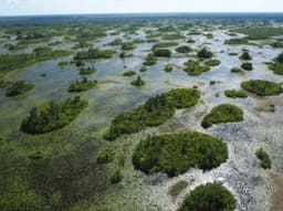 Okefenokee Becomes First National Wildlife Refuge to Gain UNESCO World Heritage Status