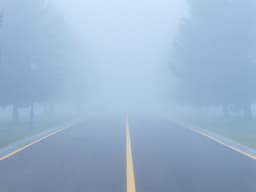 AI Security Risks and Data Visibility | CSA