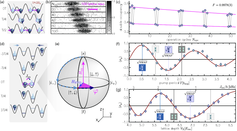 Splitting and connecting singlets in atomic quantum circuits