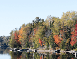 New Hampshire Governor Signs Wildlife Corridors Bill into Law