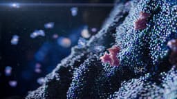 Pediatric hypertriglyceridemia classification refines risk-based care | Contemporary Pediatrics