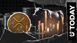 XRP Bulls Stunned by 2205% Liquidation Imbalance