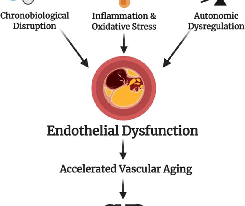 Friday Hope: Sleep Duration: Affecting Endothelial Function and Biomarkers of Inflammation