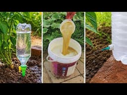 The $5 Garden Upgrade That Changed Everything