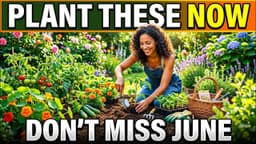 What to Plant in June: The Ultimate Guide to Fast Growing ...