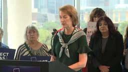 Central Texas officials push for statewide pause on new ...