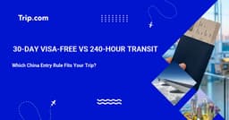 30-Day Visa-Free Entry vs 240-Hour Visa-Free Transit
