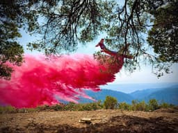 Timber Fire containment grows to 15% at 4869 acres in ...