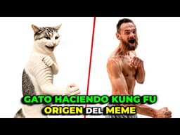 GATO haciendo KUNG FU | ORIGEN DEL MEME