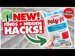 ✨ ACTUALLY GENIUS Dollar Tree HACKS + WORTHY Finds! ✨Organization, Home Decor, DIY & Crafts!