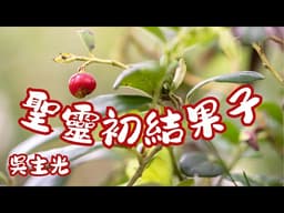 【聖靈初結果子】吳主光牧師｜講道｜The Firstfruits of the Spirit｜Pastor David Ng | Sermon