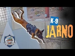 K-9 Jarno | Mesa PD
