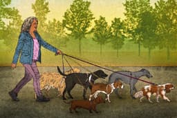 Why 'unretired' US seniors are picking up gig work to pay the bills | The Star