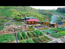 Farm Makeover Reveal: Growing Watermelon, Flowers & Building a Stone Garden | Off Grid Homestead