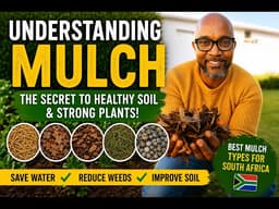 Understanding Mulch: The Secret to Healthy Soil & Strong Plants