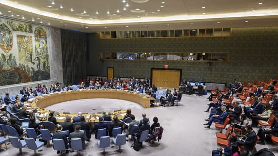The situation in the Middle East - Security Council, 10217th meeting