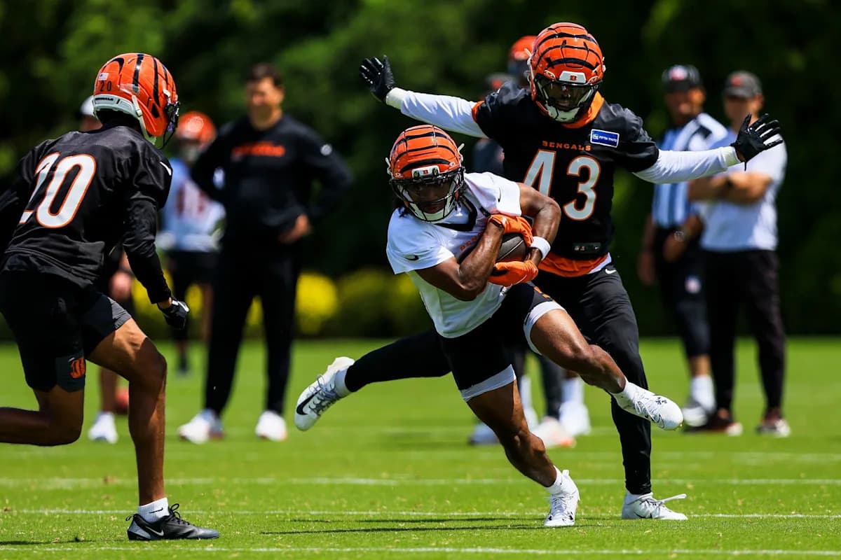 Bengals boast sleepers on special teams, too - Yahoo Sports