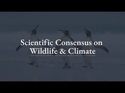 Global scientists unite on role of wild animals for climate action | Press conference | #SB64