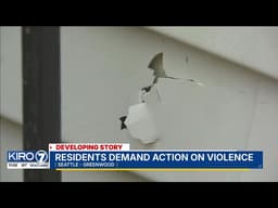 Seattle's Greenwood residents demand action on violence