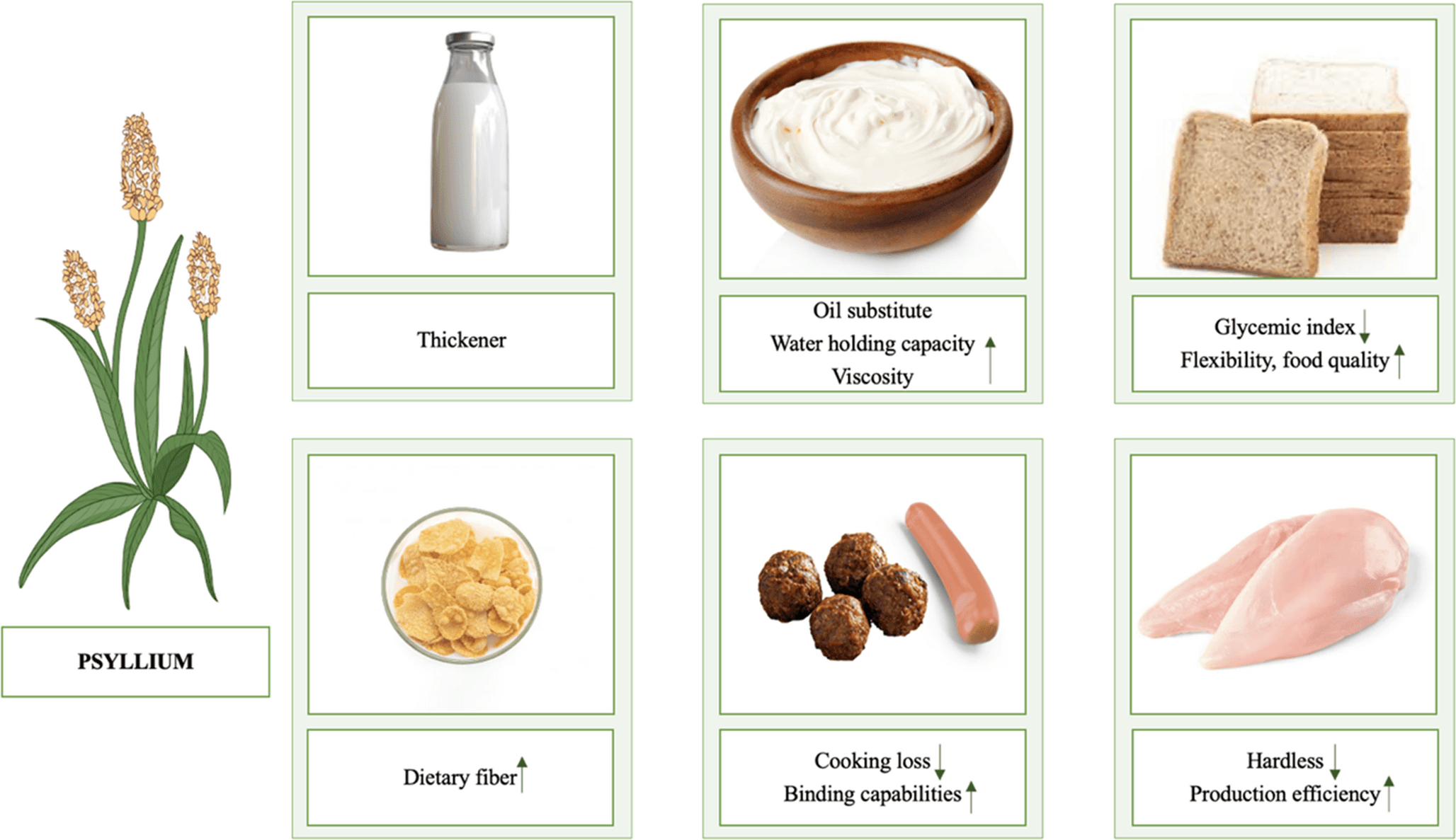 From Husks and Seeds to Health: an Inevitable Outcome Rather than a Fluke | Current Nutrition Reports | Springer Nature Link