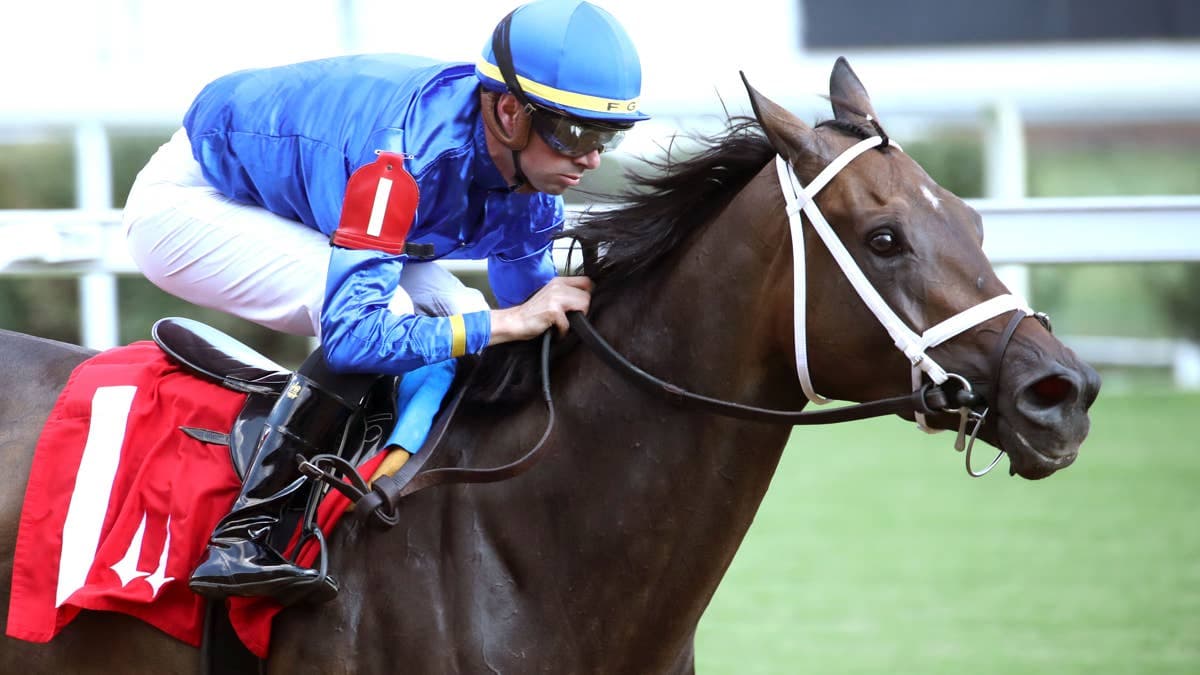 Belmont Stakes 2026 preview & prep trail