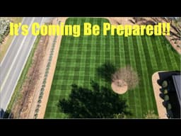 How To Prevent Spring Lawn Disease DIY Lawn Care