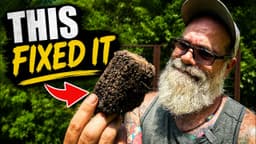 I Put Bad Soil In This Garden Bed