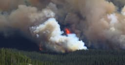 Wildfire Map Spotlight: Sargent Fire, Georgia-Florida Border | IQAir International