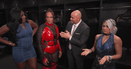 Giulia Vs. Lash Legend Interim WWE Women's Title Ladder ...