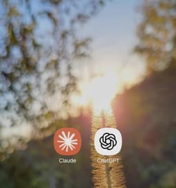 When the Machine Chooses Its Words