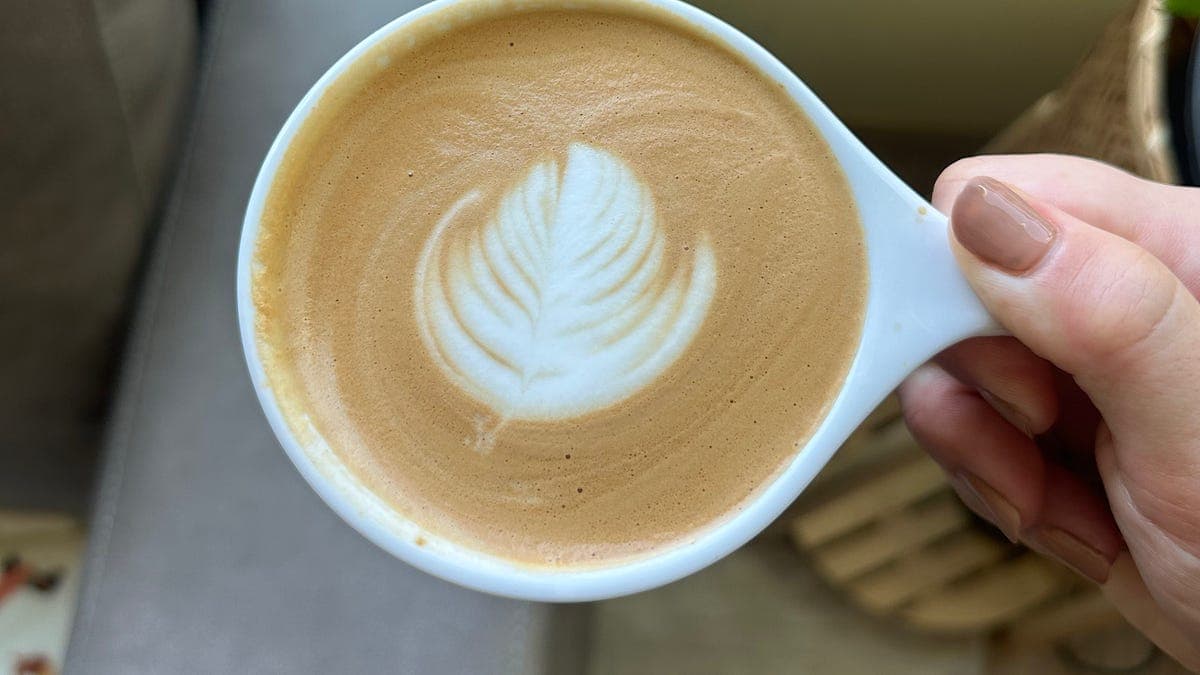How to Use a Breville Espresso Machine - by Katerina Diaz