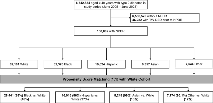 Racial and microvascular determinants of progression to treatment-warranted diabetic eye disease | Eye
