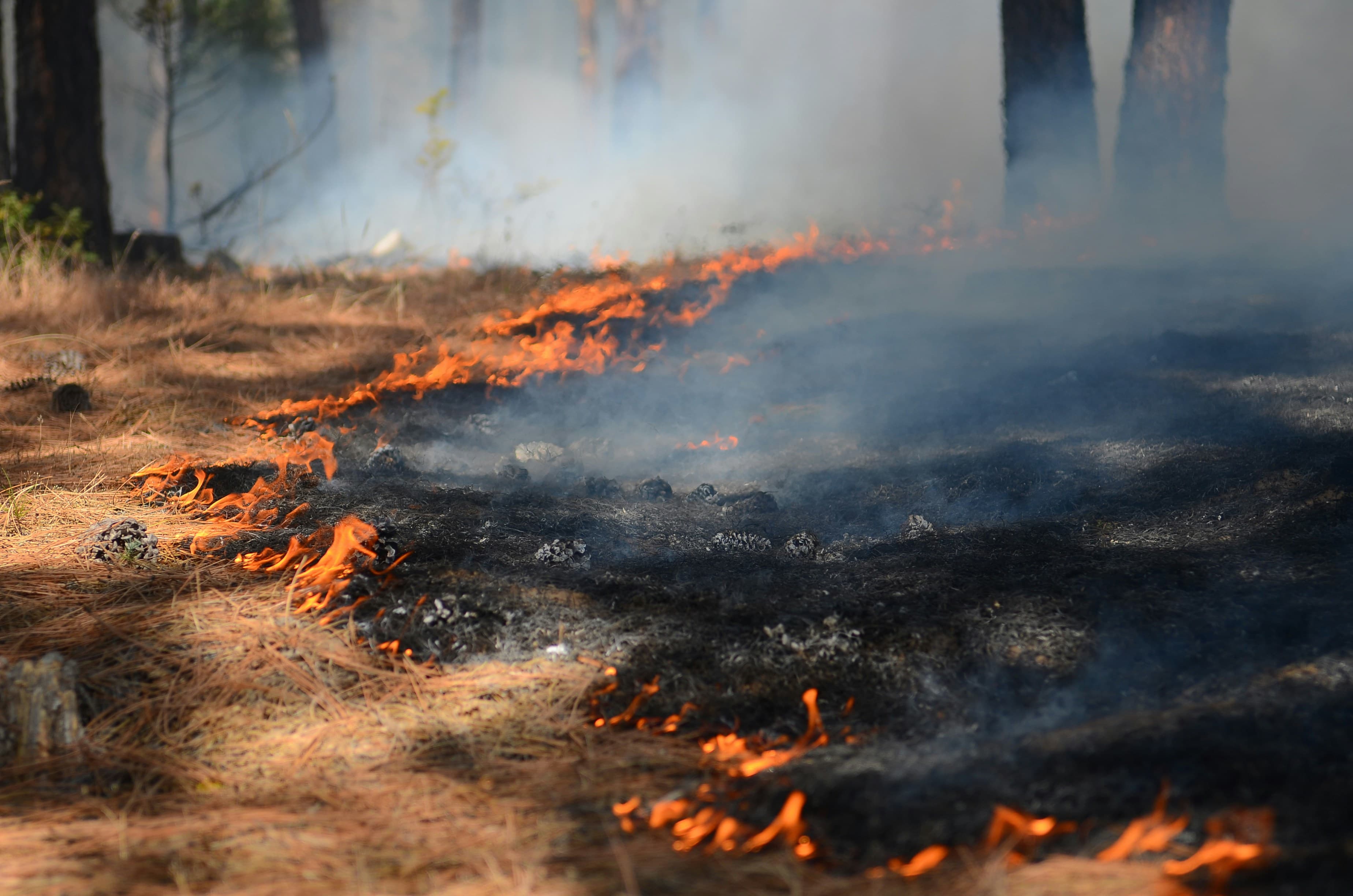 Incendies : quels risques sanitaires et comment se protéger