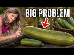 You're Picking Cucumbers Too Late
