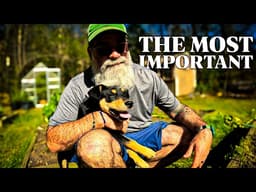 5 ways to add this key nutrient in to your garden