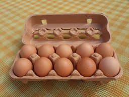FDA Recalls Shell Eggs Over Possible Salmonella ...